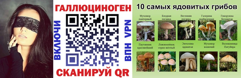 Псилоцибиновые грибы ЛСД  Купить закладки  Грайворон 