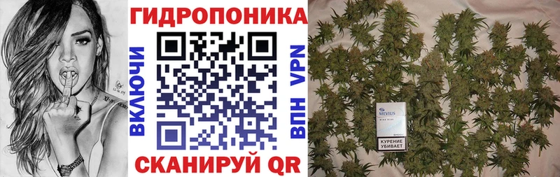 Купить закладки  Грайворон  Шишки марихуана гибрид 